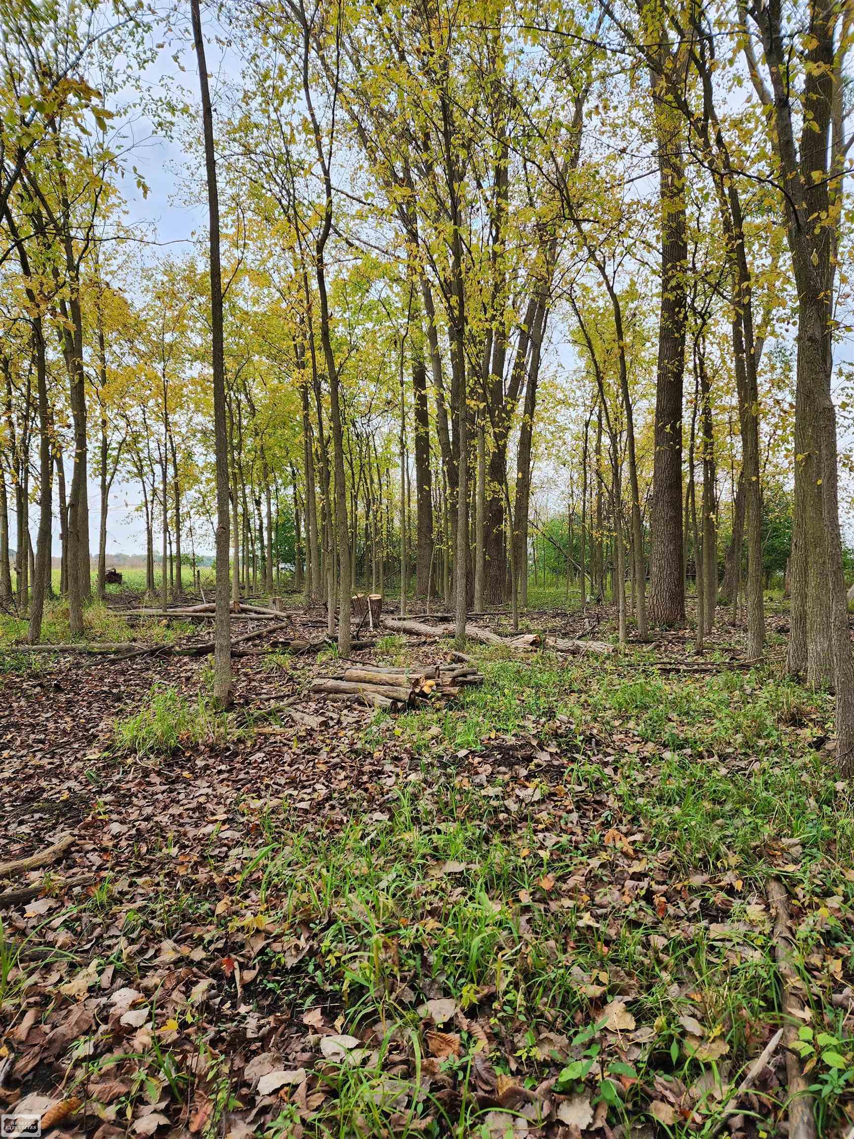 0 Norman Road Yale, MI 48097 - Photo 9 of 14