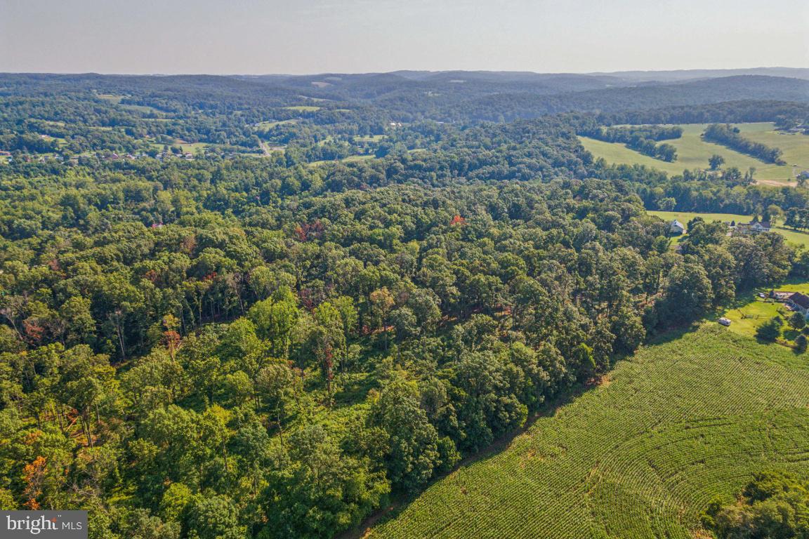 Murkle Road Westminster, MD 21158 - Photo 12 of 16
