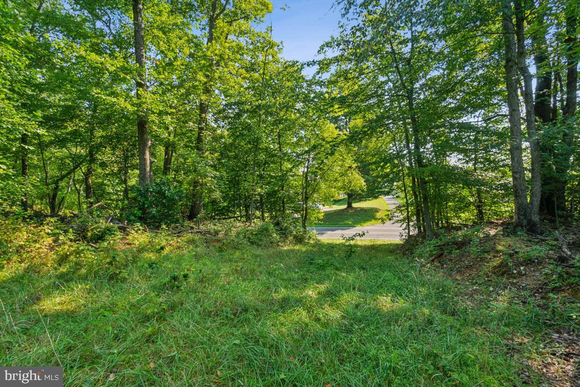 Murkle Road Westminster, MD 21158 - Photo 4 of 16