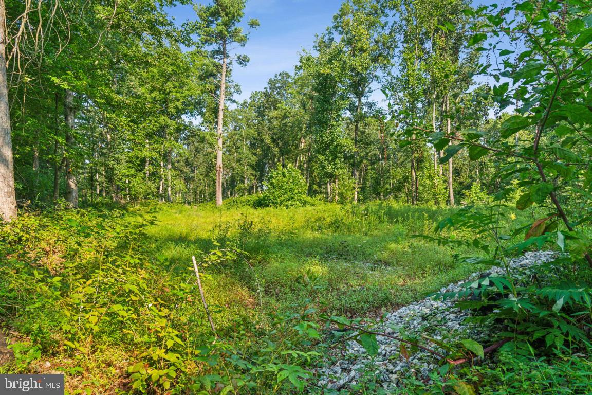 Murkle Road Westminster, MD 21158 - Photo 5 of 16