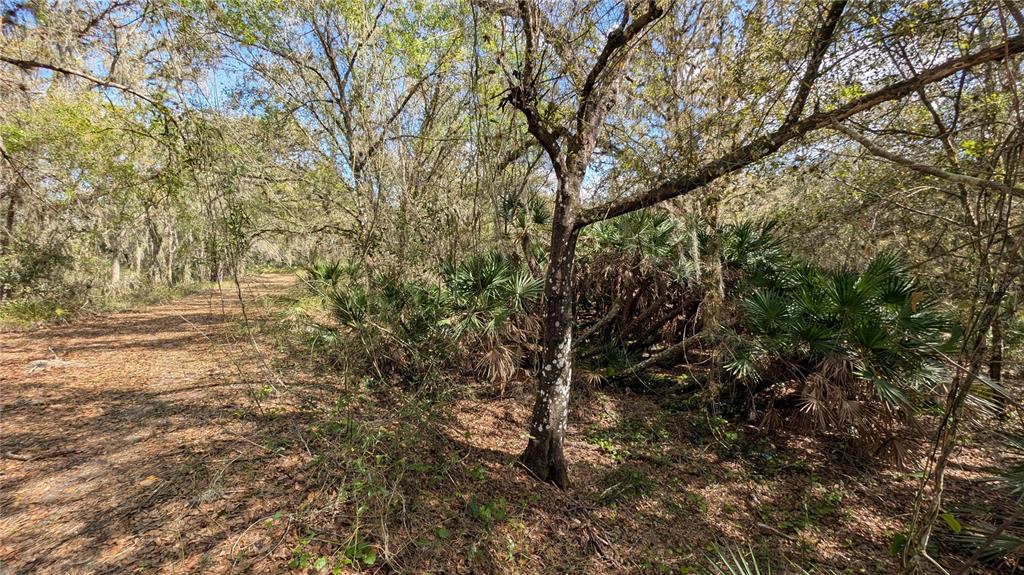 Gillette Road Zolfo Springs, FL 33890 - Photo 50 of 86 Gallery Image 50