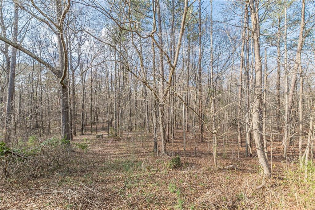 3300 Union Church Road Stockbridge, GA 30281 - Photo 24 of 55