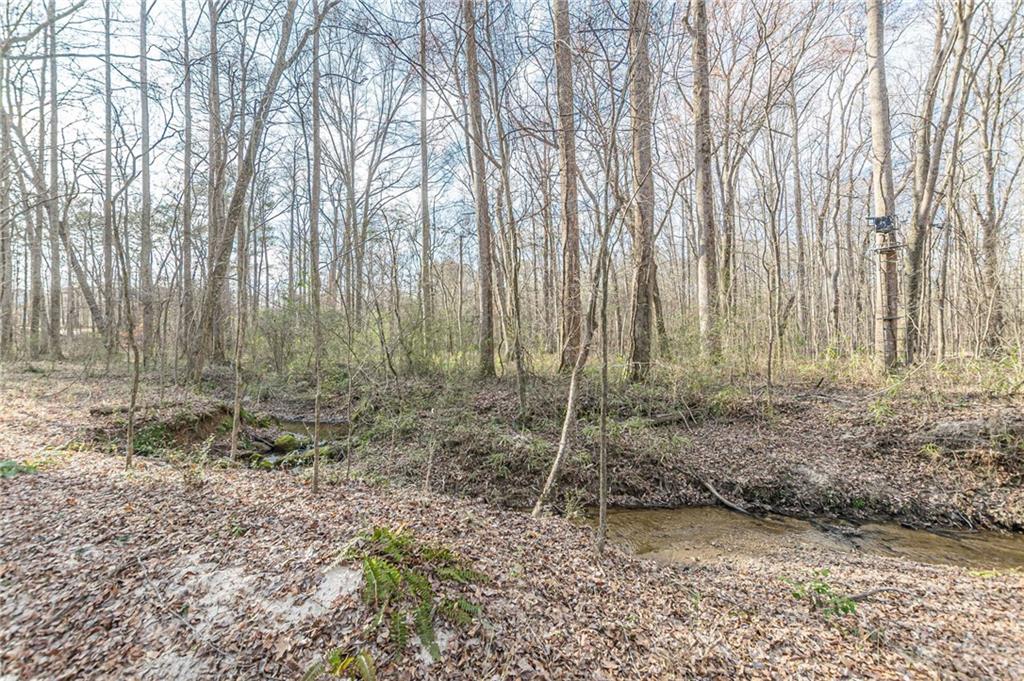 3300 Union Church Road Stockbridge, GA 30281 - Photo 34 of 55