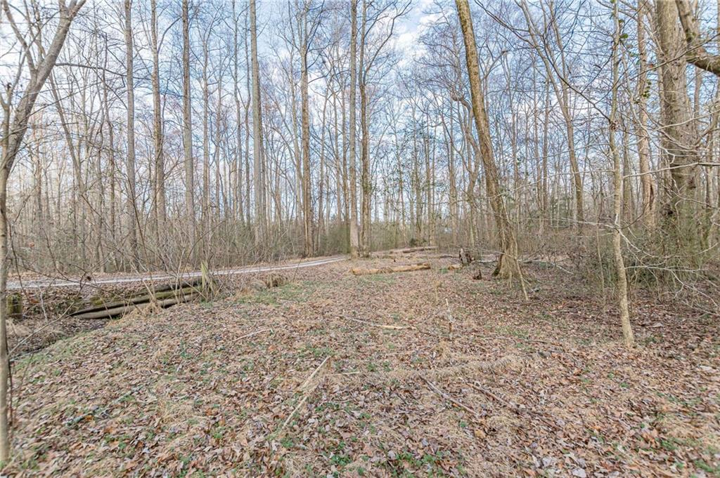 3300 Union Church Road Stockbridge, GA 30281 - Photo 41 of 55