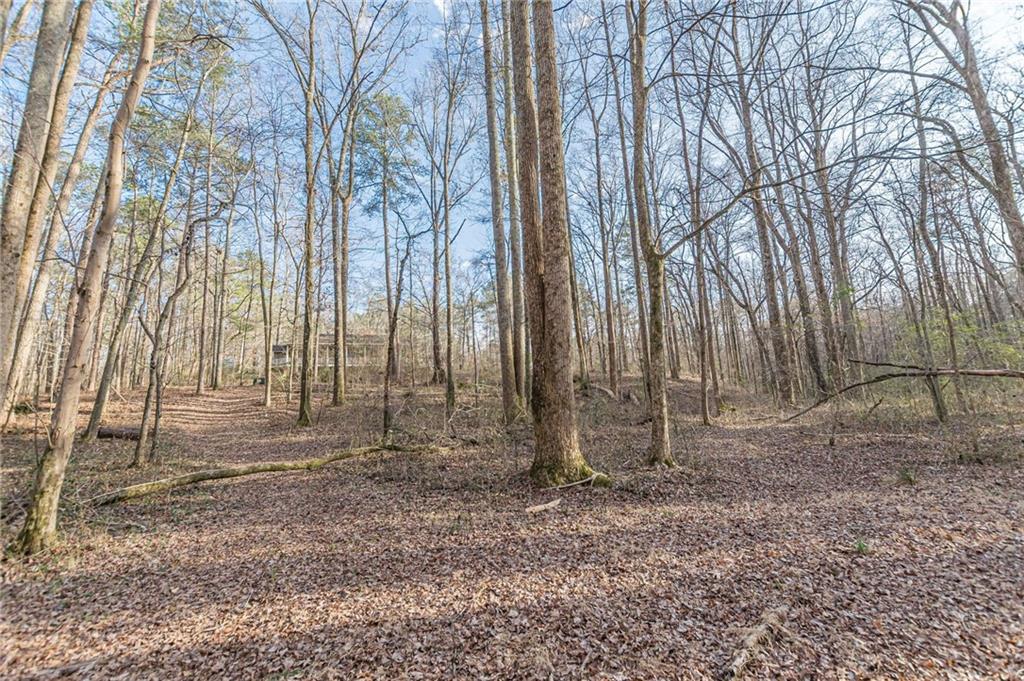 3300 Union Church Road Stockbridge, GA 30281 - Photo 42 of 55