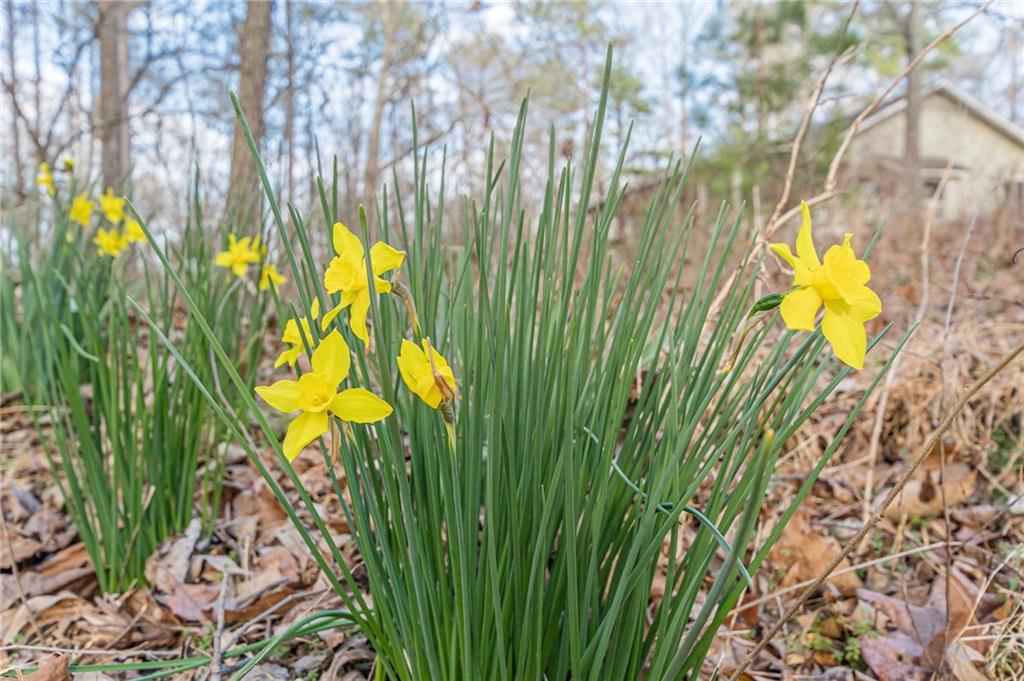 3300 Union Church Road Stockbridge, GA 30281 - Photo 44 of 55
