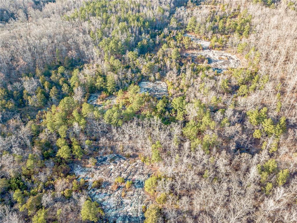 3300 Union Church Road Stockbridge, GA 30281 - Photo 54 of 55