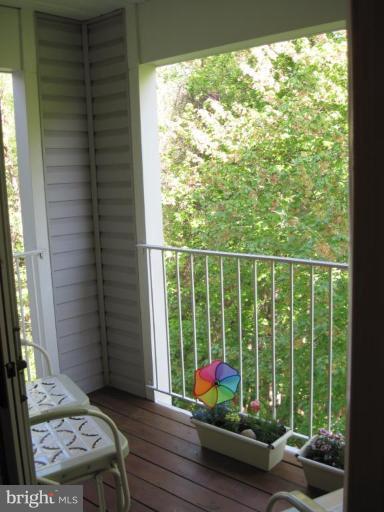 Deck - View from
