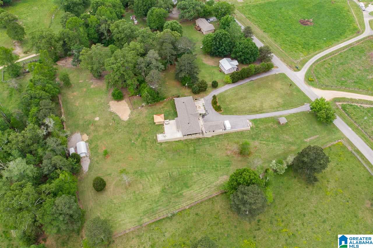 7770 Dry Creek Road Pell City, AL 35128 - Photo 46 of 49