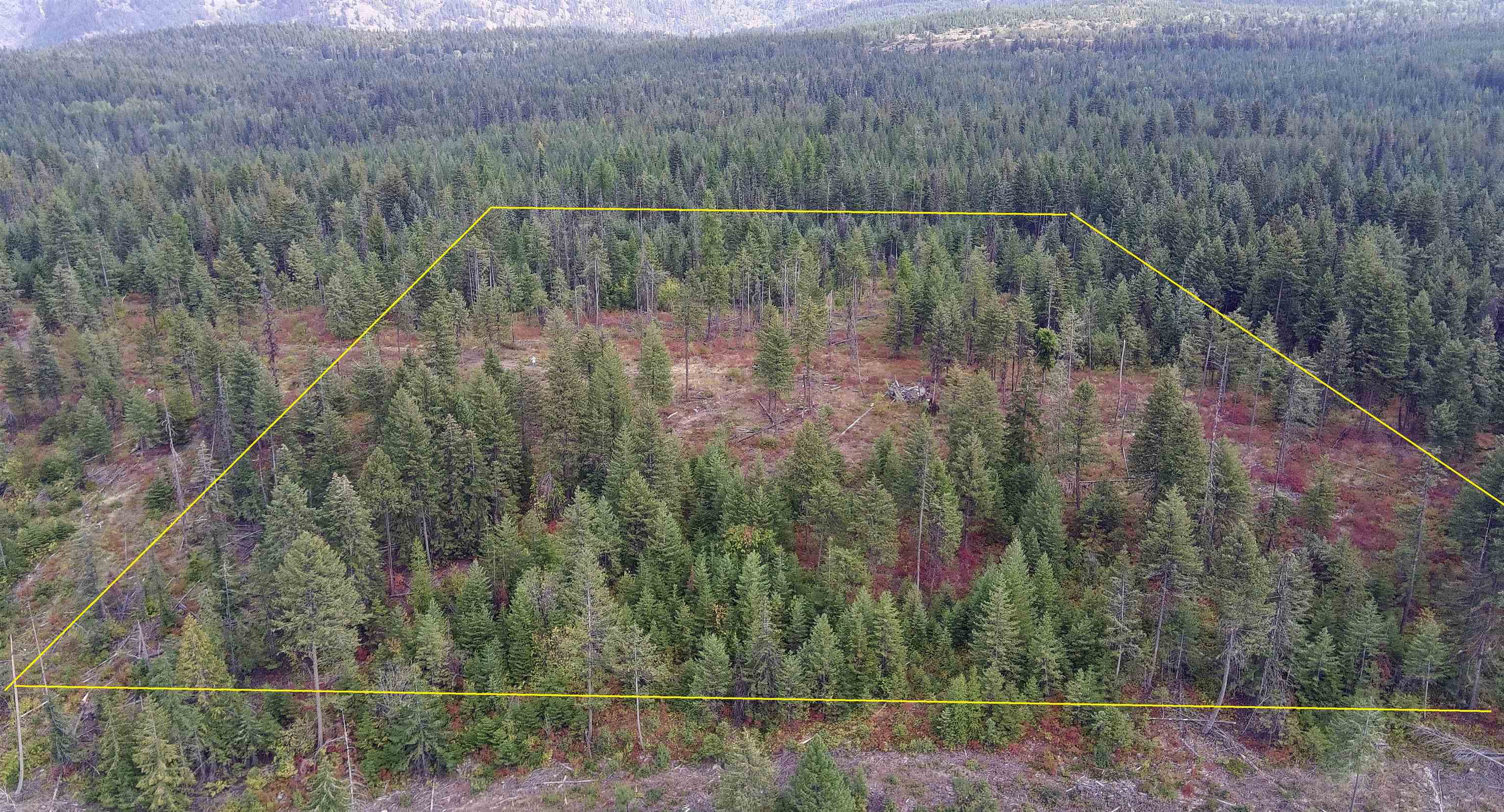 2784 Red Tail Way Colville, WA 99114 - Photo 2 of 9