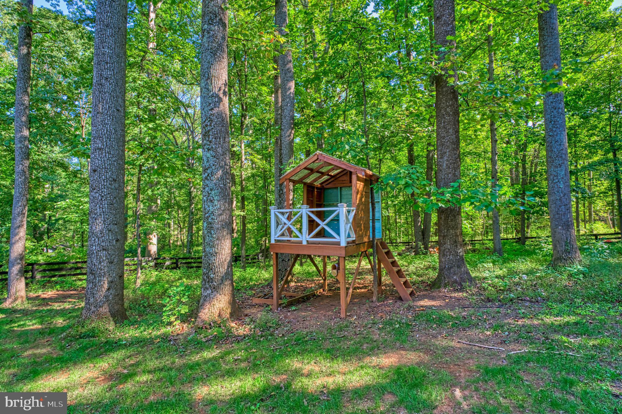 41351 Red Hill Road Leesburg, VA 20175 - Photo 2 of 60