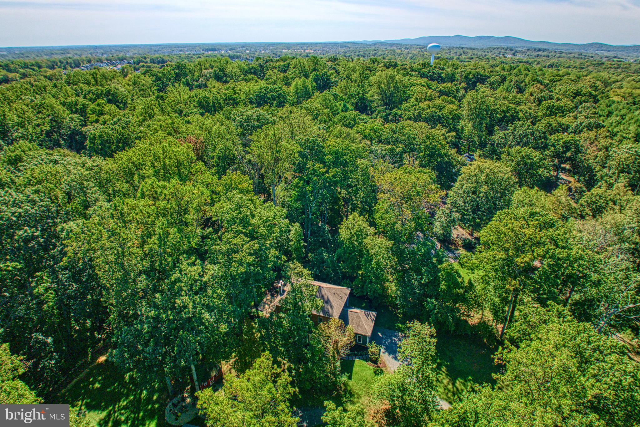 41351 Red Hill Road Leesburg, VA 20175 - Photo 3 of 60