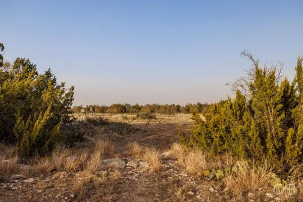 a view of a dry yard with trees in the background