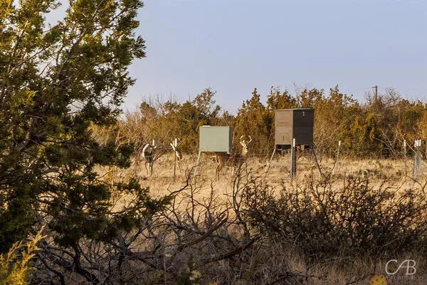 a view of a mountain
