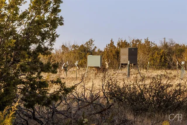 a view of a mountain