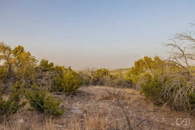 a view of a city with lush green forest