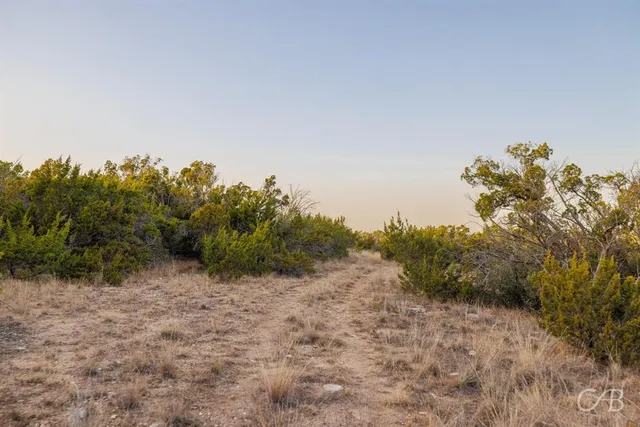 a view of a bunch of trees in a field