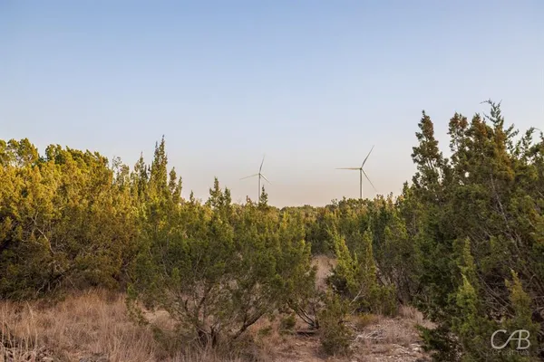 a view of a dry yard with wooden fence