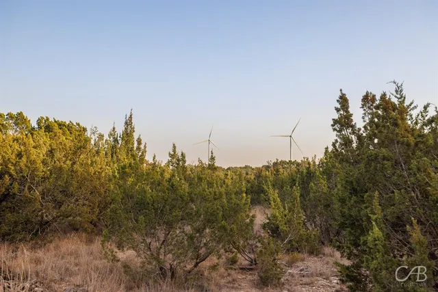 a view of a dry yard with wooden fence