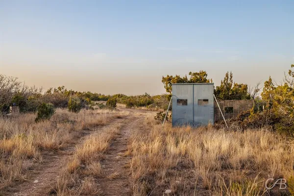 a view of a field with an ocean