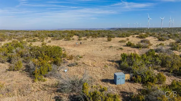 a view of a city with lush green forest