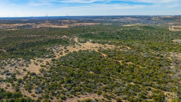 a view of city and ocean