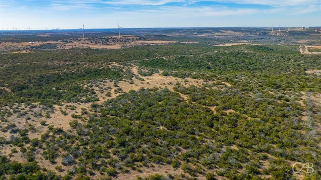 a view of city and ocean