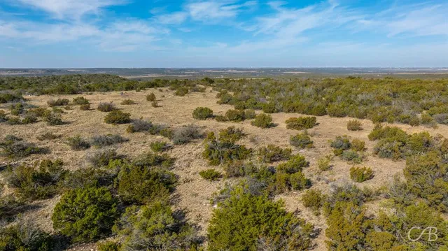 a view of a green field with lots of bushes