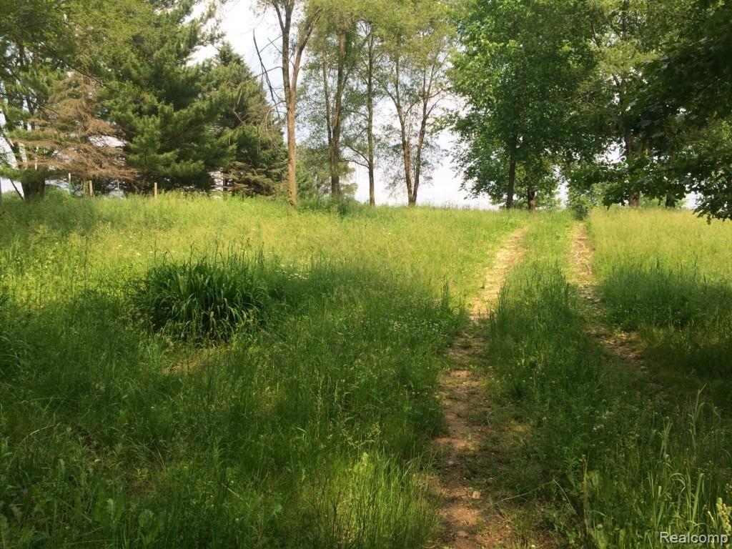 Vl Pleasant Lake Road Howell, MI 48843 - Photo 7 of 7