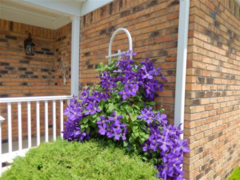 45224 Lemont Road Canton, MI 48187 - Photo 3 of 32 Photo 3