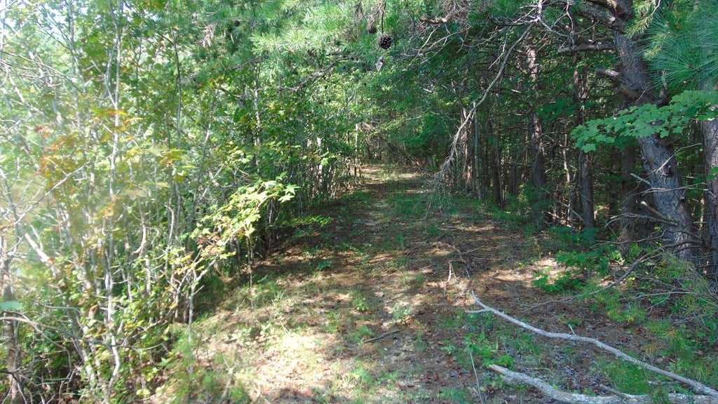 650 Mulberry Road Nathalie, VA 24577 - Photo 13 of 23 Gallery Image 13
