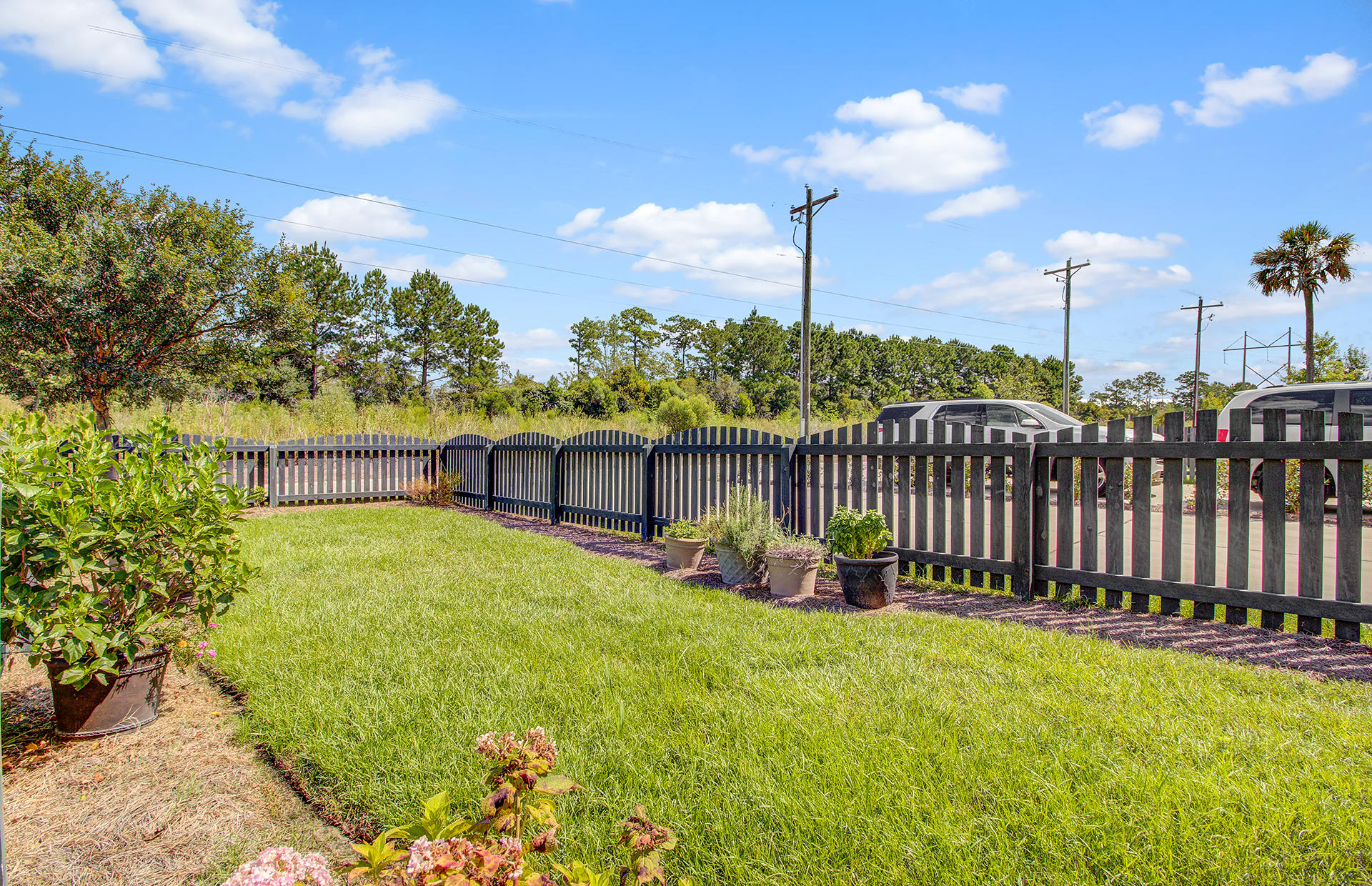 3141 Sturbridge Road Mount Pleasant, SC 29466 - Photo 20 of 50 Back Yard
