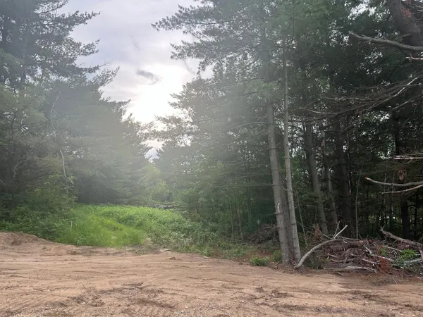 $29,900 | Lot 6-blk Ridgewood Drive, Randall, MN 56475