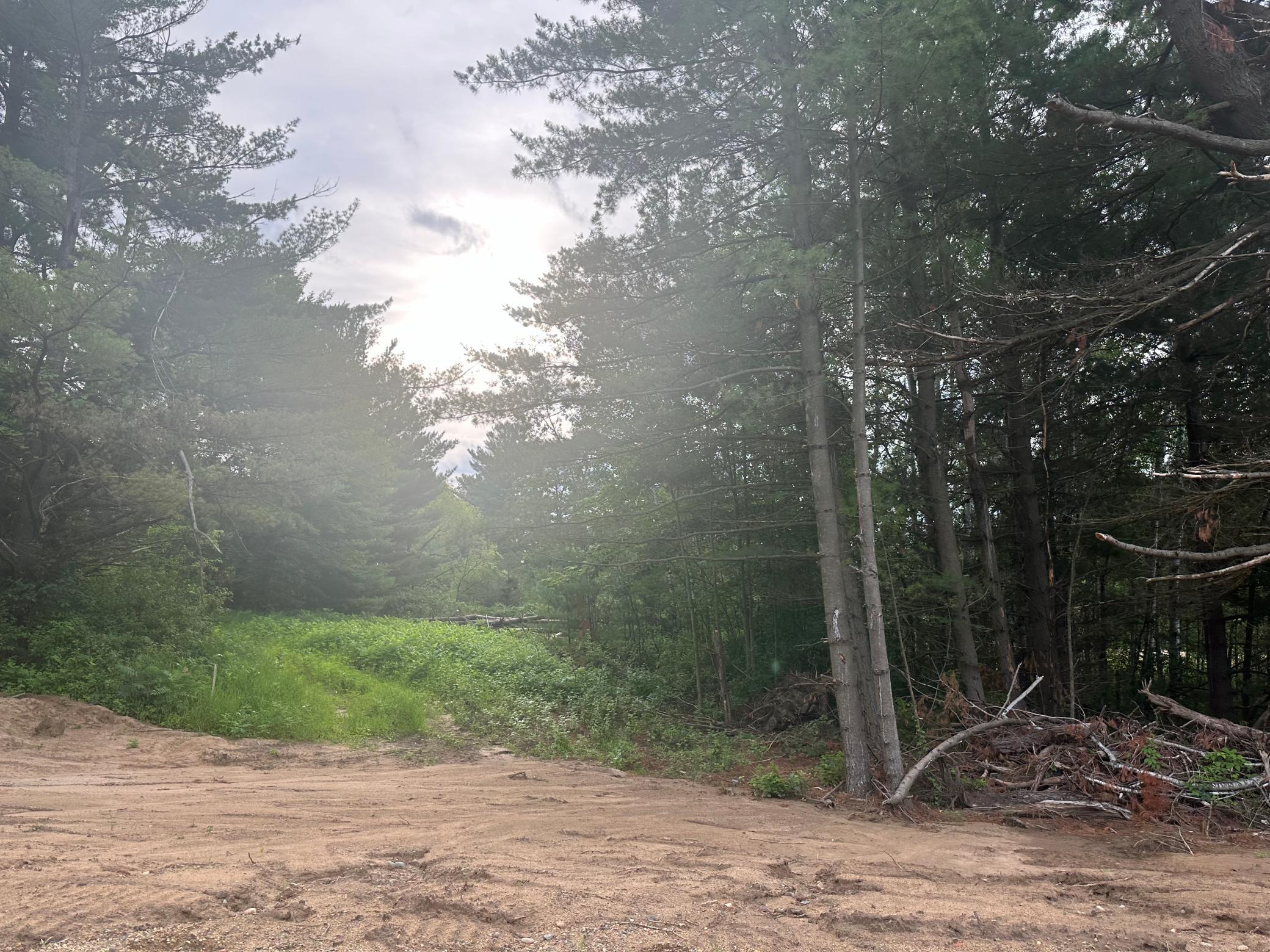 Lot 6-blk Ridgewood Drive Randall, MN 56475 - Photo 1 of 2