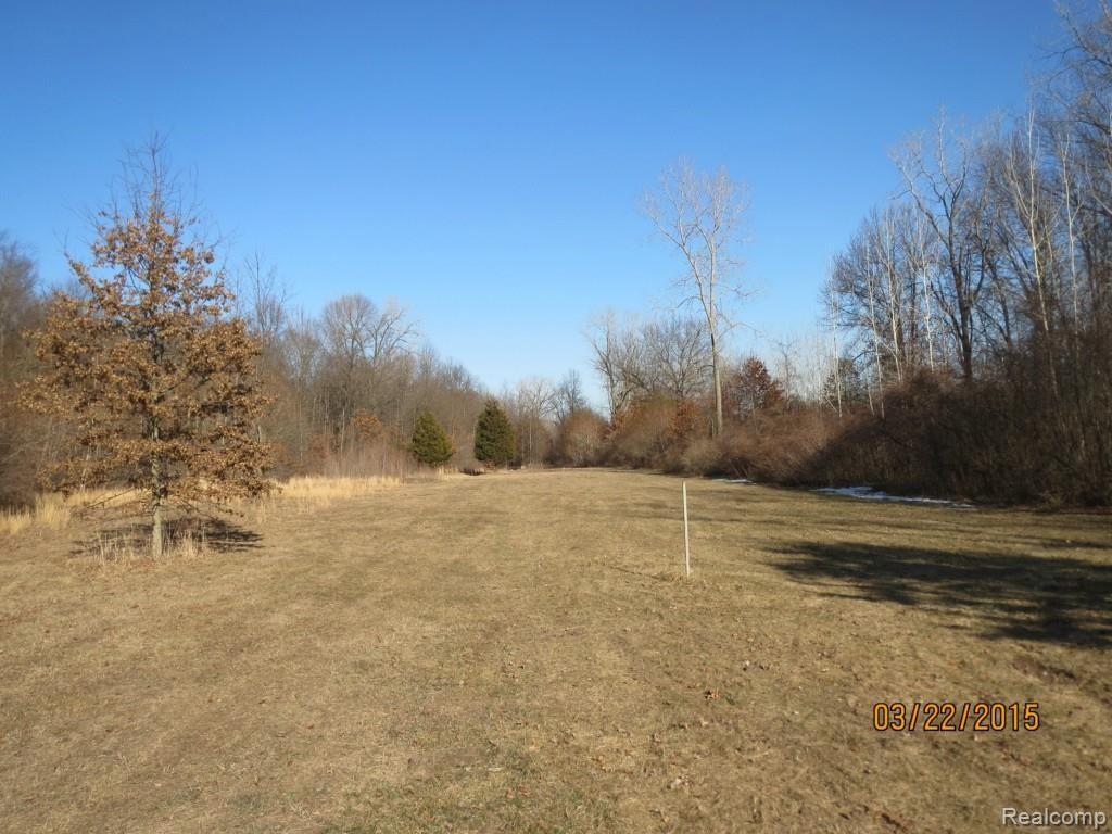 7900 West Newburg Road Carleton, MI 48117 - Photo 46 of 62 IMG_6022.jpg