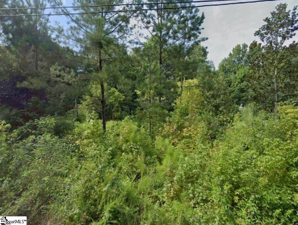 0 North Caroline Street Laurens, SC 29360 - Photo 2 of 2