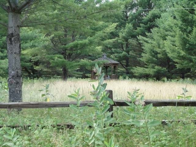 Lot 20 West Twin Lake Road Hazelhurst, WI 54531 - Photo 6 of 8 Gallery Image 6