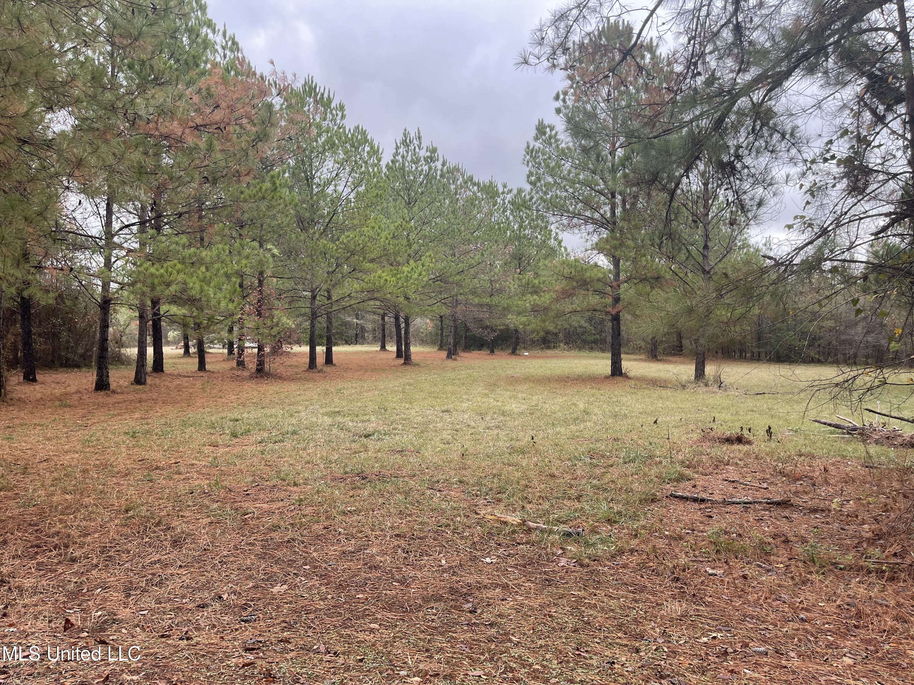 Haynes Chapel Rd Road Pelahatchie, MS 39145 - Photo 1 of 2 20 acre front