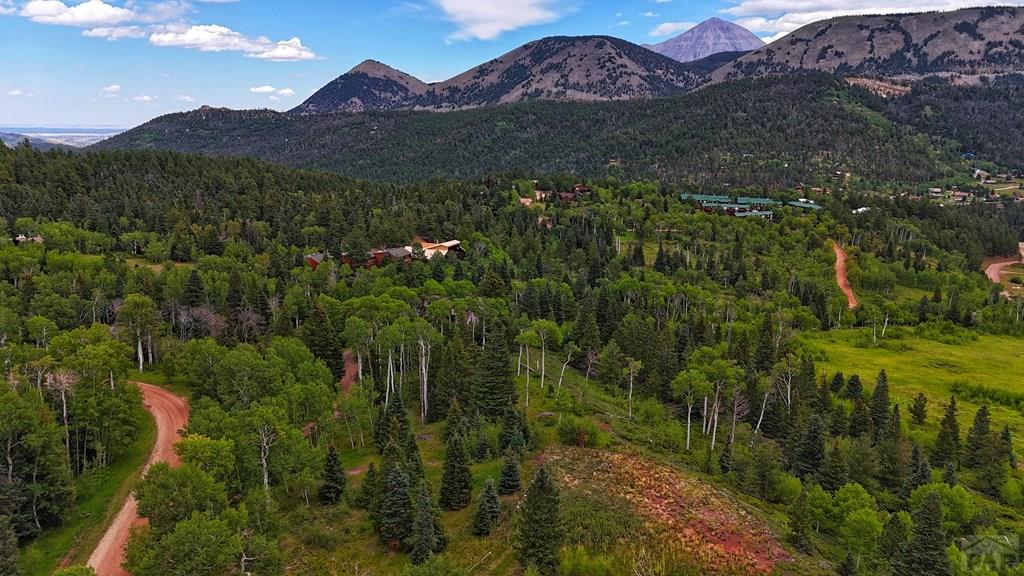 Tbd Baker Creek Road La Veta, CO 81055 - Photo 7 of 13