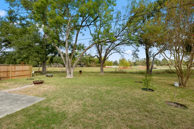 a view of yard with tree