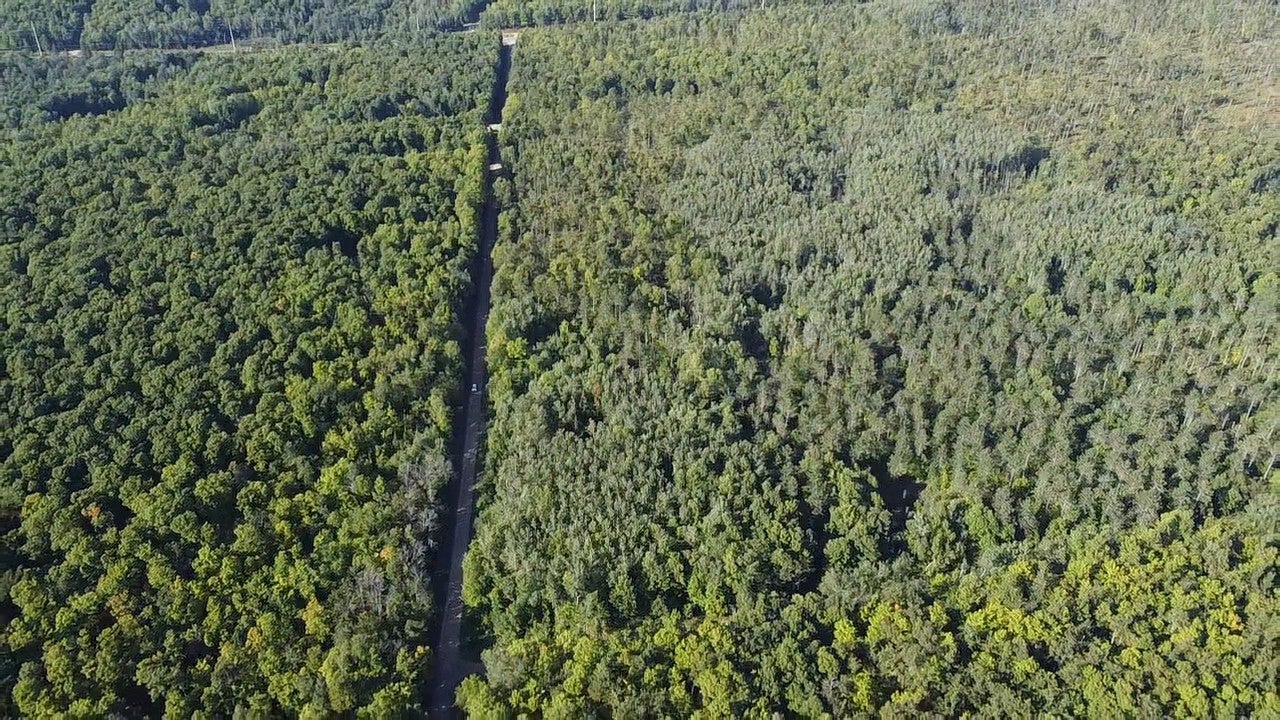 11-acres Tower Road Crandon, WI 54520 - Photo 10 of 15 Gallery Image 10
