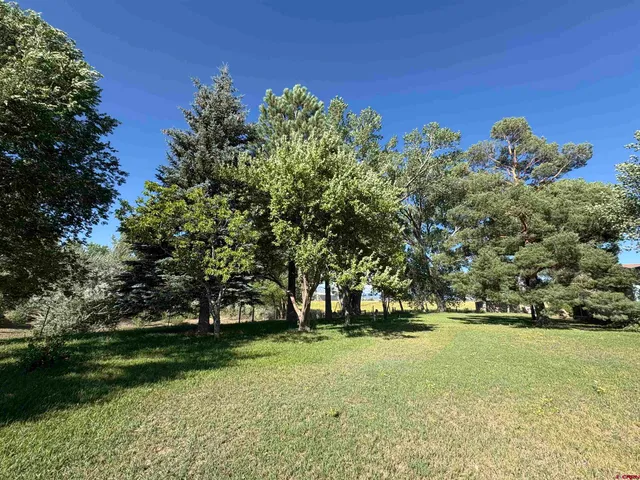 a view of yard with tree