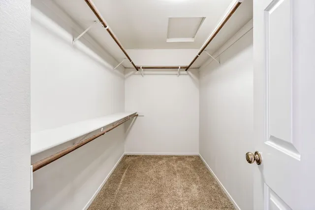 a view of a backyard with couches with wooden fence and plants