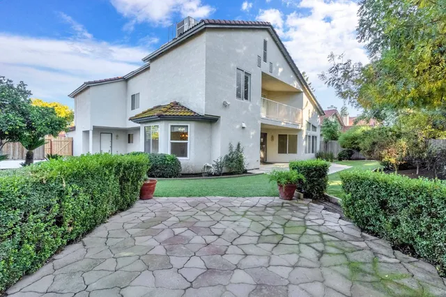 a view of a backyard with plants and tree