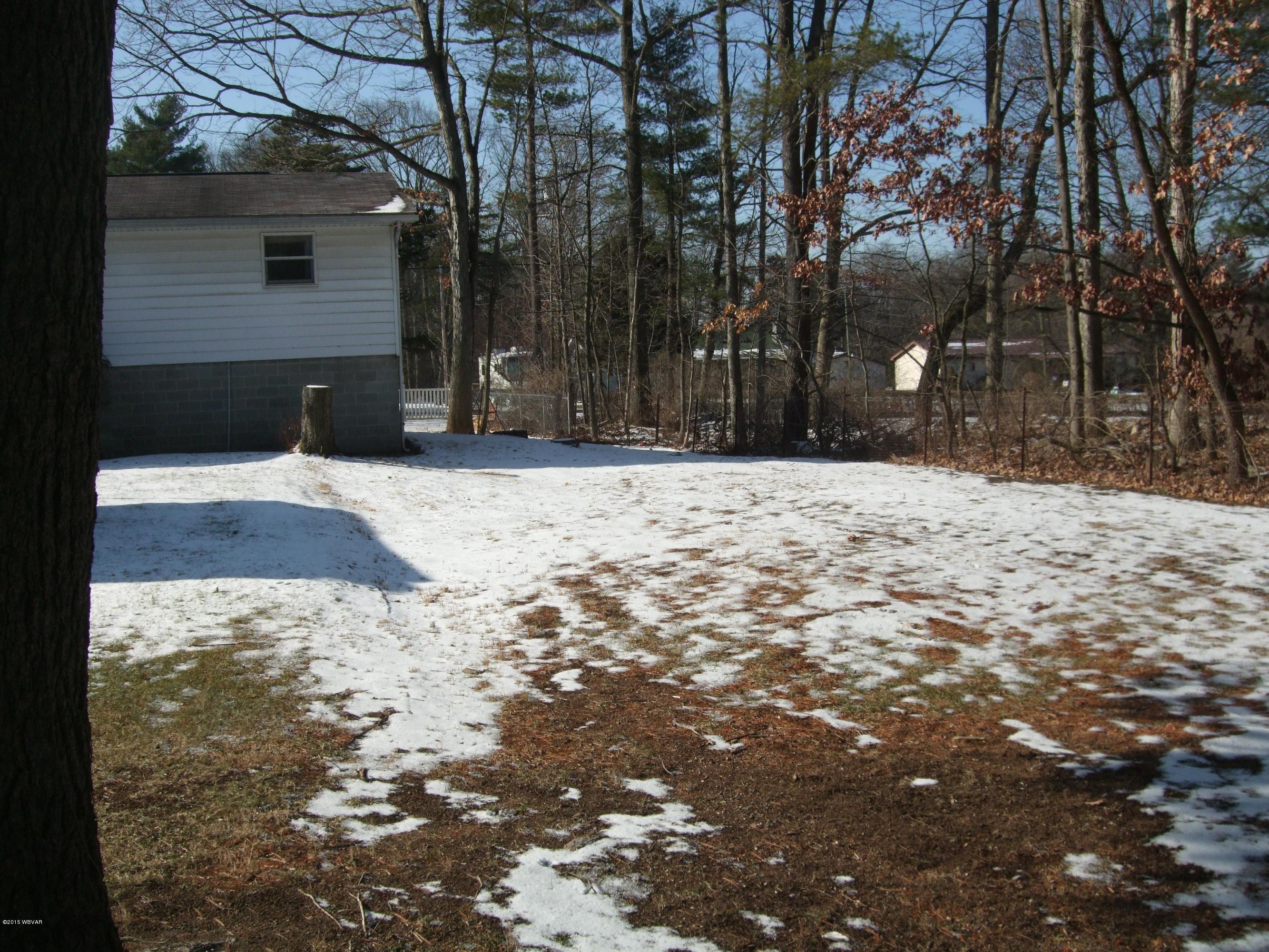 190 East Haven Pines Road Mill Hall, PA 17751 - Photo 7 of 31 Yard