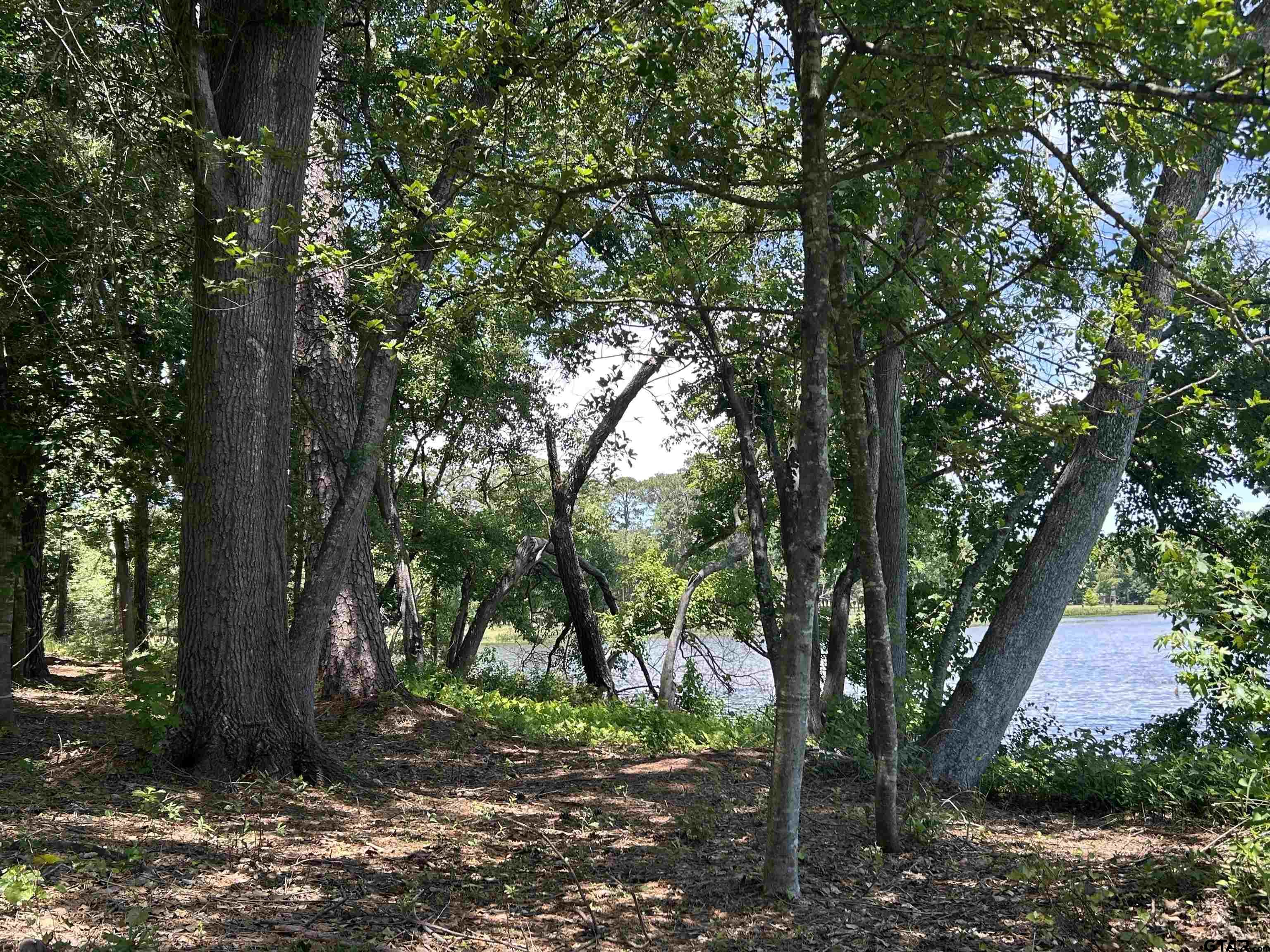 Lot Tr Stevenson Road Frankston, TX 75763 - Photo 38 of 38