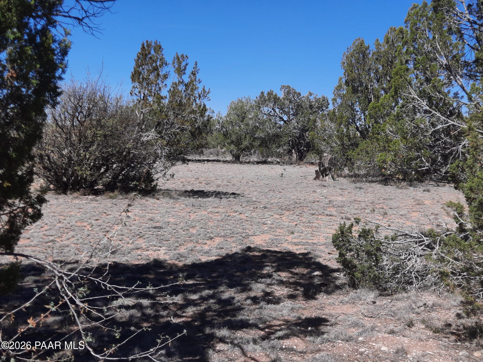 Lot 265 North Rocky Top Road Seligman, AZ 86337 - Photo 1 of 14 cover