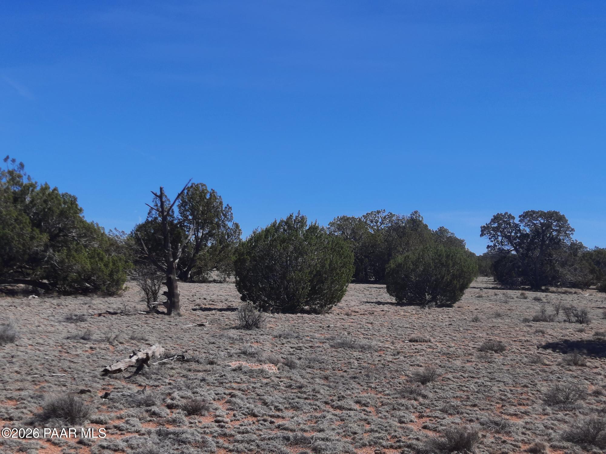 Lot 265 North Rocky Top Road Seligman, AZ 86337 - Photo 12 of 14 20260317_122218