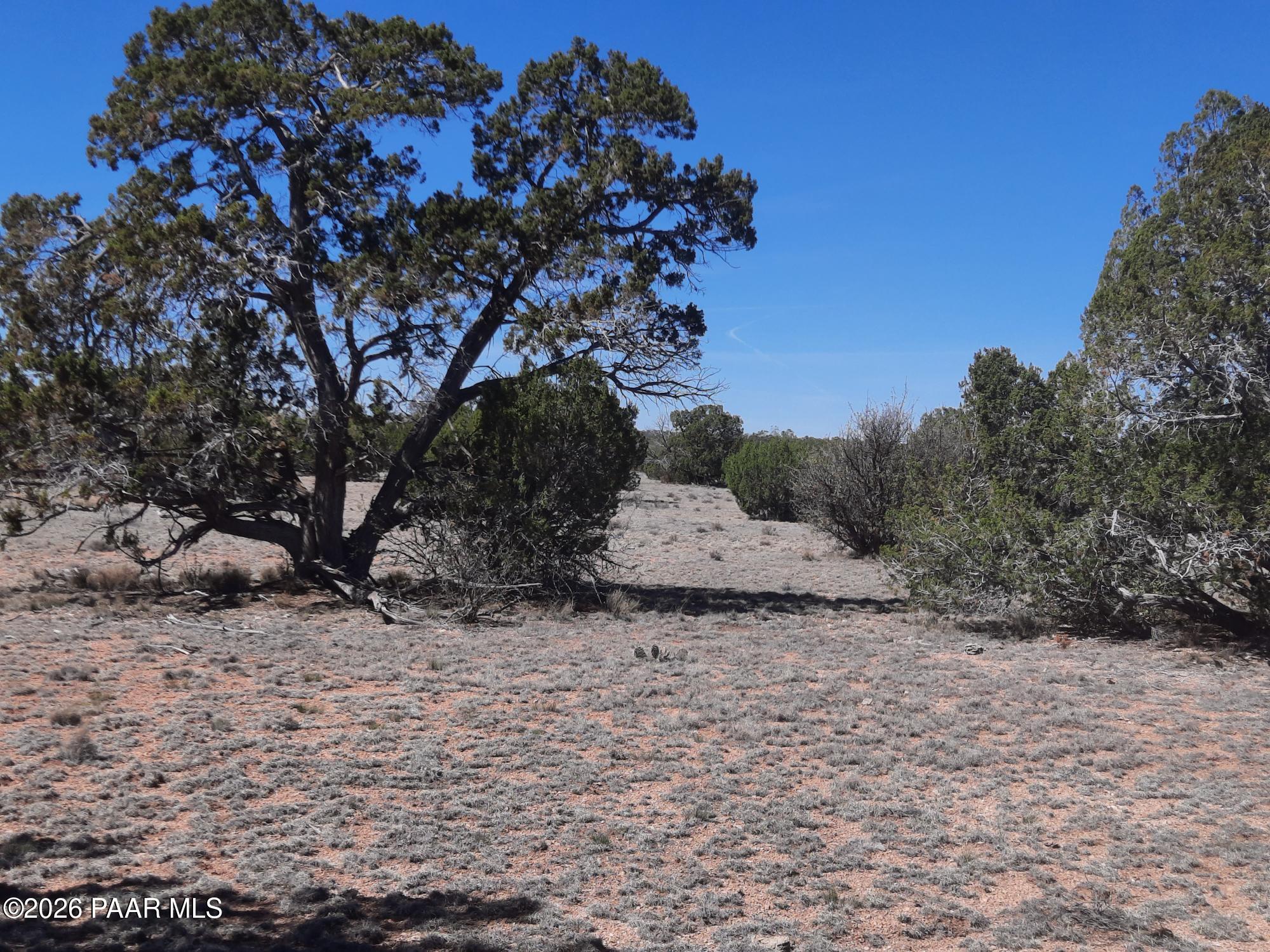 Lot 265 North Rocky Top Road Seligman, AZ 86337 - Photo 3 of 14 20260317_121705