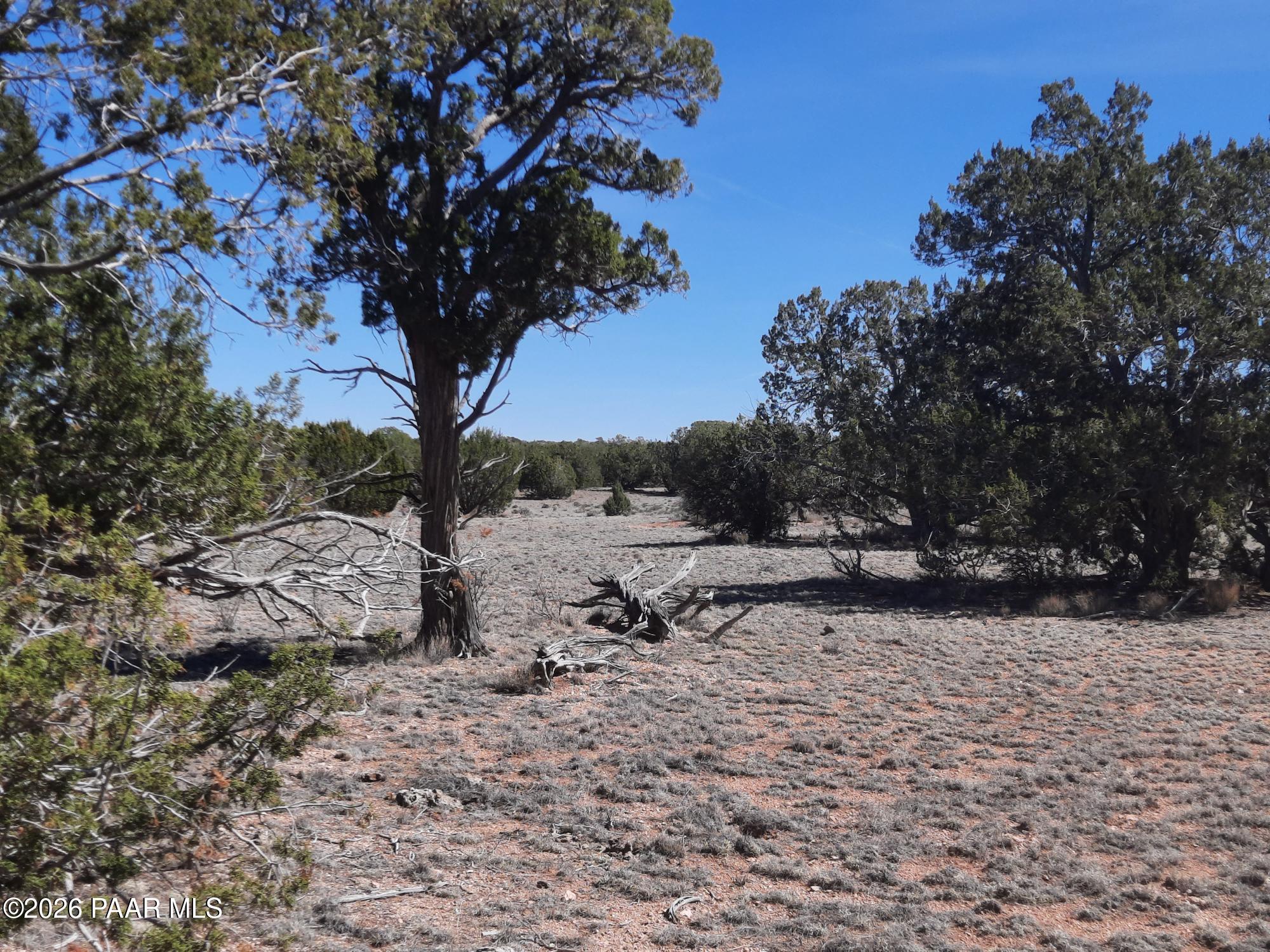 Lot 265 North Rocky Top Road Seligman, AZ 86337 - Photo 4 of 14 20260317_121827